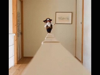  ...      !