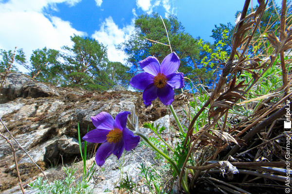 Улыбнитесь весна пришла)))