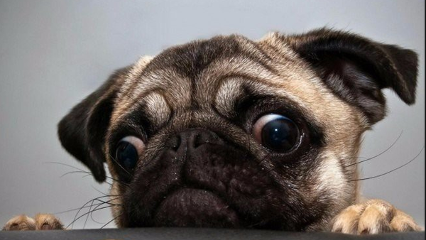 Военным кибер-войск Британии разрешили носить бороды и длинные волосы)