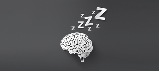 Sleeping brains