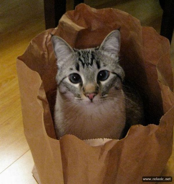 ��� � ��� ���� ��������?