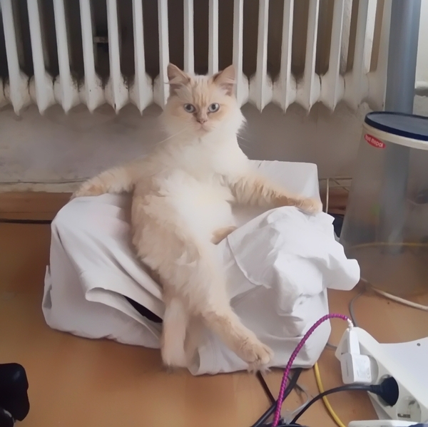 , ,  :)