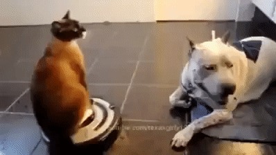 &quot; -   , !&quot; ..