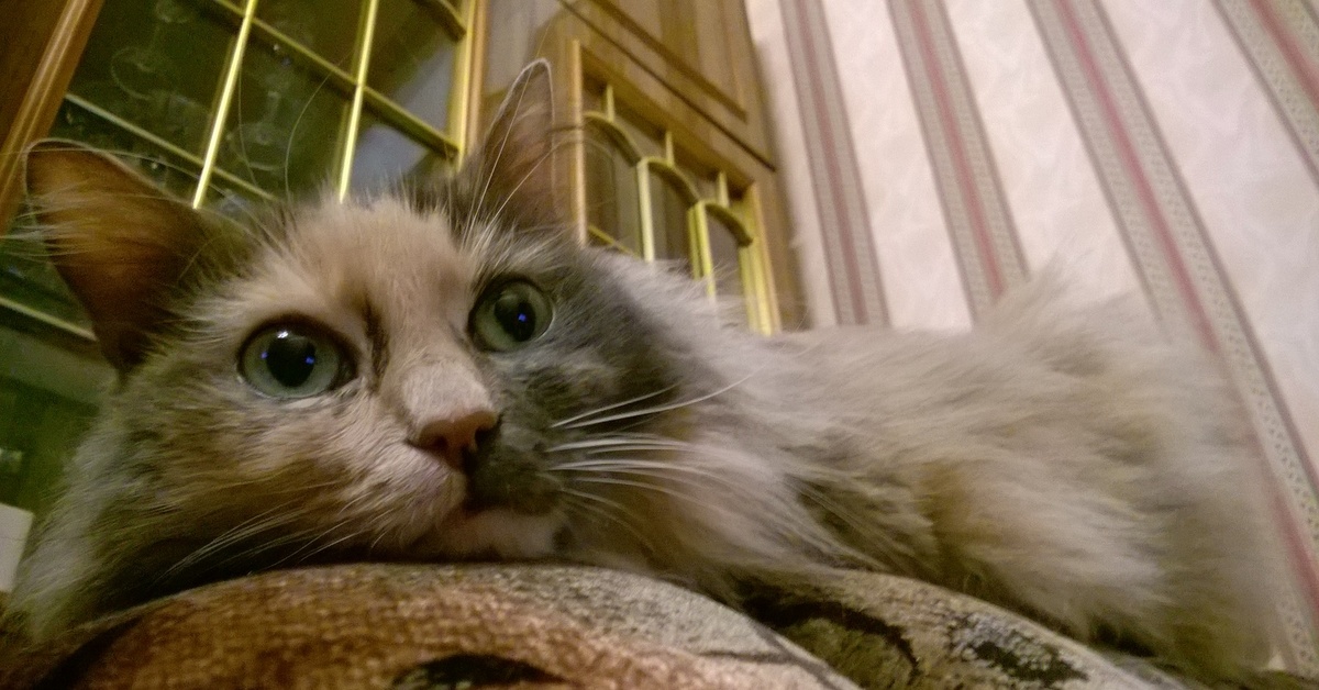 Протечка крыши | Пикабу