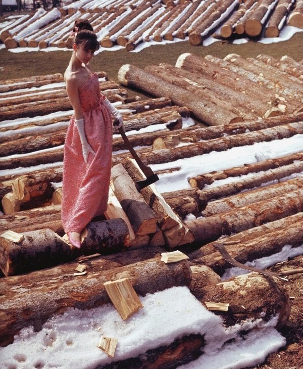 Прекрасная Одри