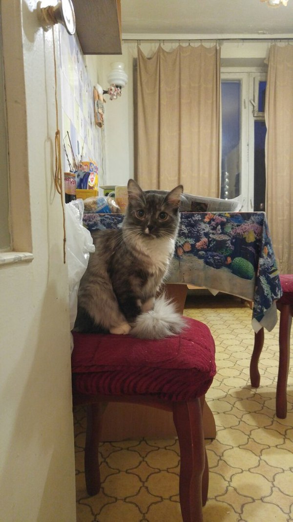   !  , , , 