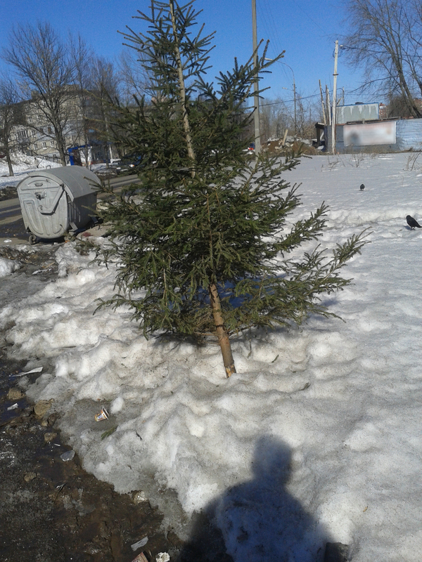 ��������� ������ ������