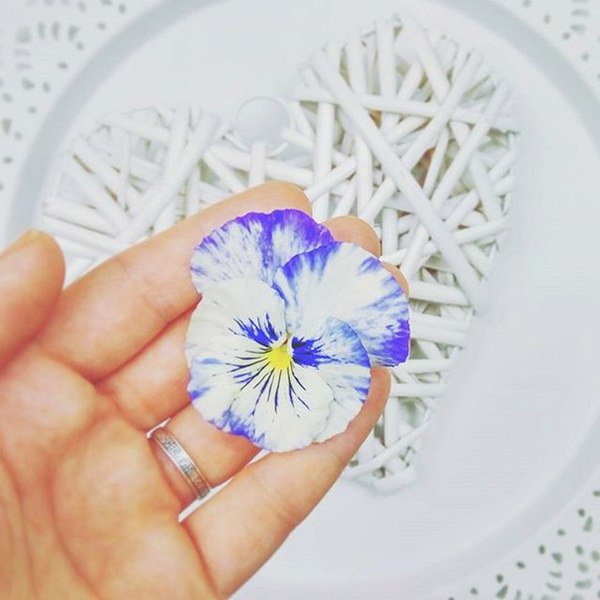   .       ,      &lt;3