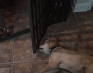 ��������� �������