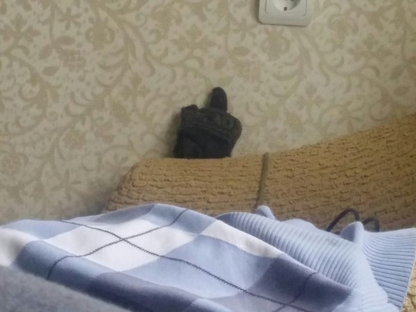 Когда даже твои перчатки тебя не уважают :с