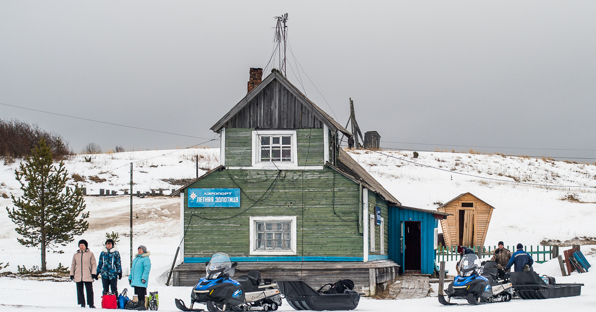 Фото верхняя золотица