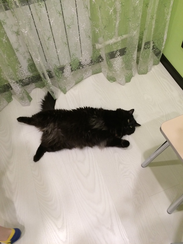 ������� ������ ���, �������...