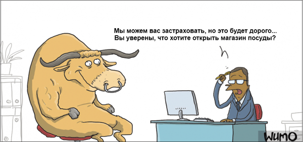 A BULL IN A CHINA SHOP (  )