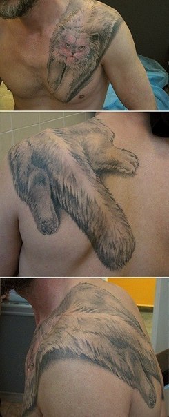 Любитель котиков