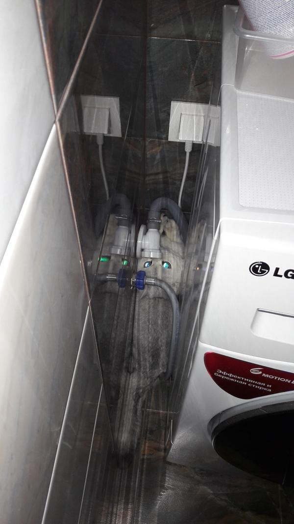 Миссия невыполнима