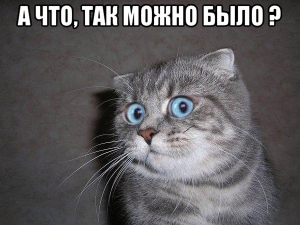 Когда не разбираешься в компьютерах