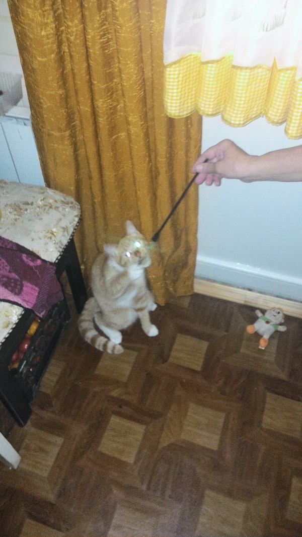  , 