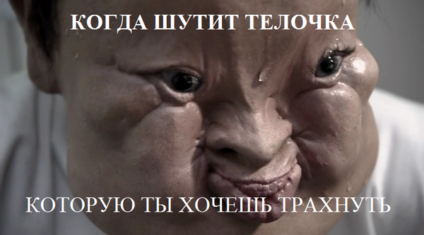 КОГДА ТЕЛОЧКА ШУТИТ