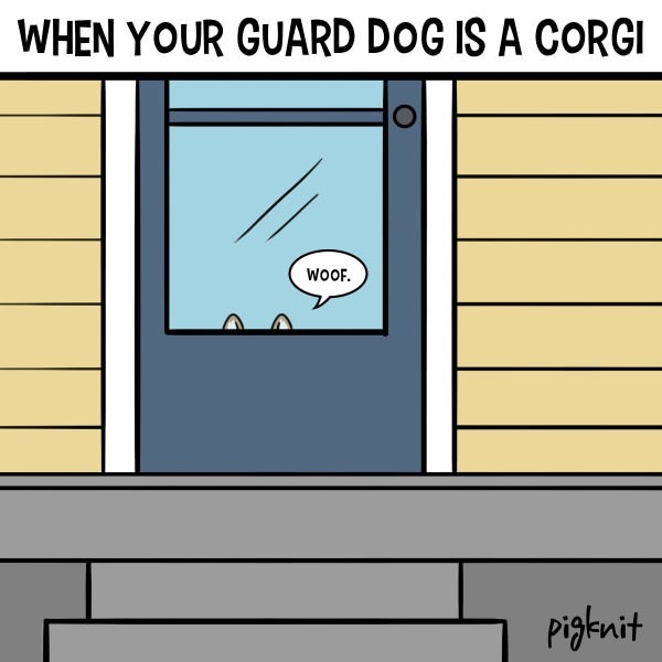 Проблемы корги