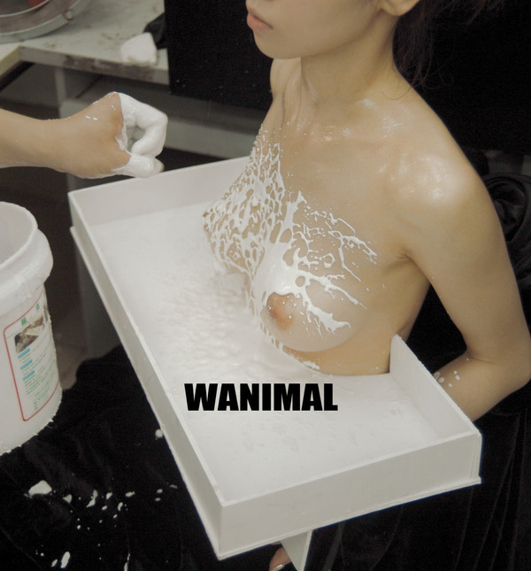 Gypsum. - NSFW, Wanimal lofter, Girls, Boobs, Strawberry, Photo, Longpost