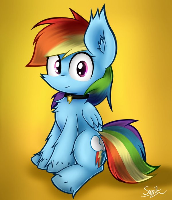 Woof My Little Pony, Rainbow Dash, Heavymetalbronyyeah
