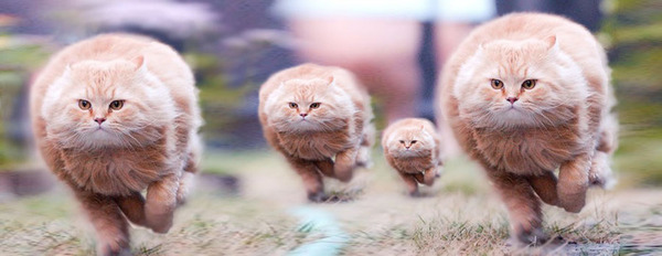 ������, ������� ��� - ����������! ���� ������� �������!