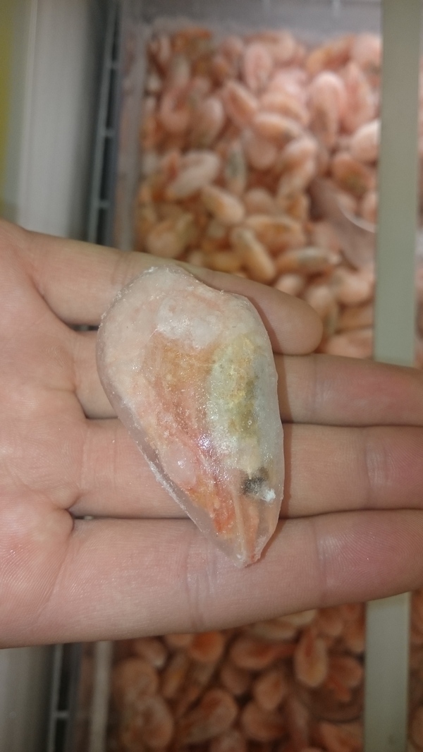 Глубокая заморозка креветок