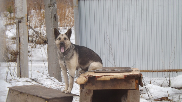 ��, ��� ��� ������