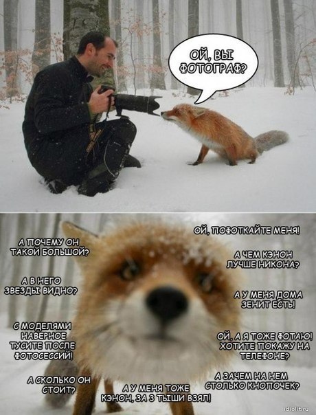 � ��� ������