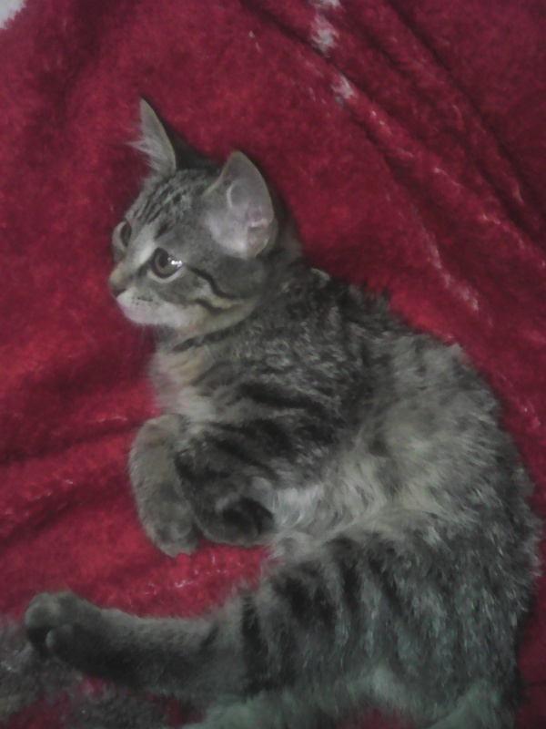 � ��� ���� ����� �����