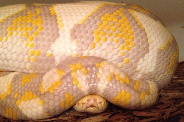 Стесняется)))