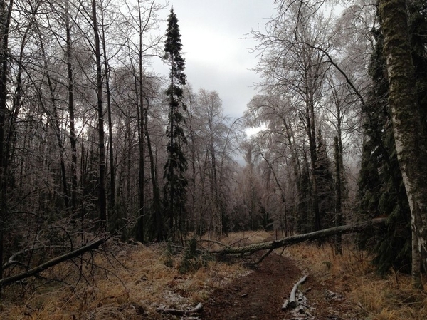 Тропа к вершине хребта Ялангас