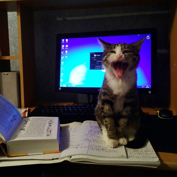 � ������ ������ ��������, ��� ���� ��� ������...