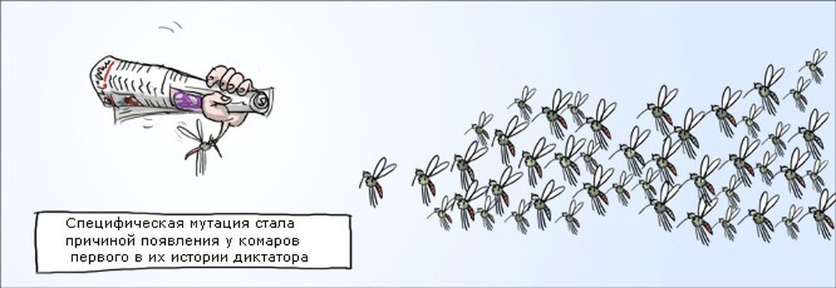 Комар валера картинка