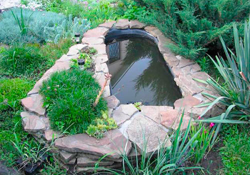 Пруд из старой ванны. | Маленькие пруды, Садовые пруды, Дизайн сада