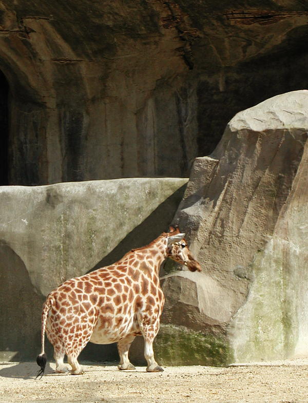 ���� �� �� ��� �������