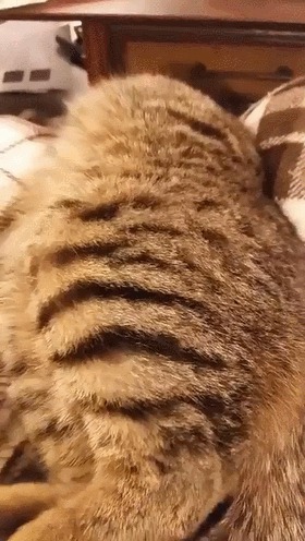     , , 