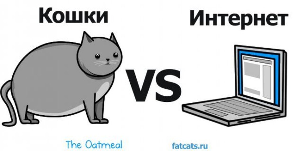 Subtitle cat. Кошки и интернет. Кот в интернете. Интернет магазин для кошек. Кошечка в интернете.