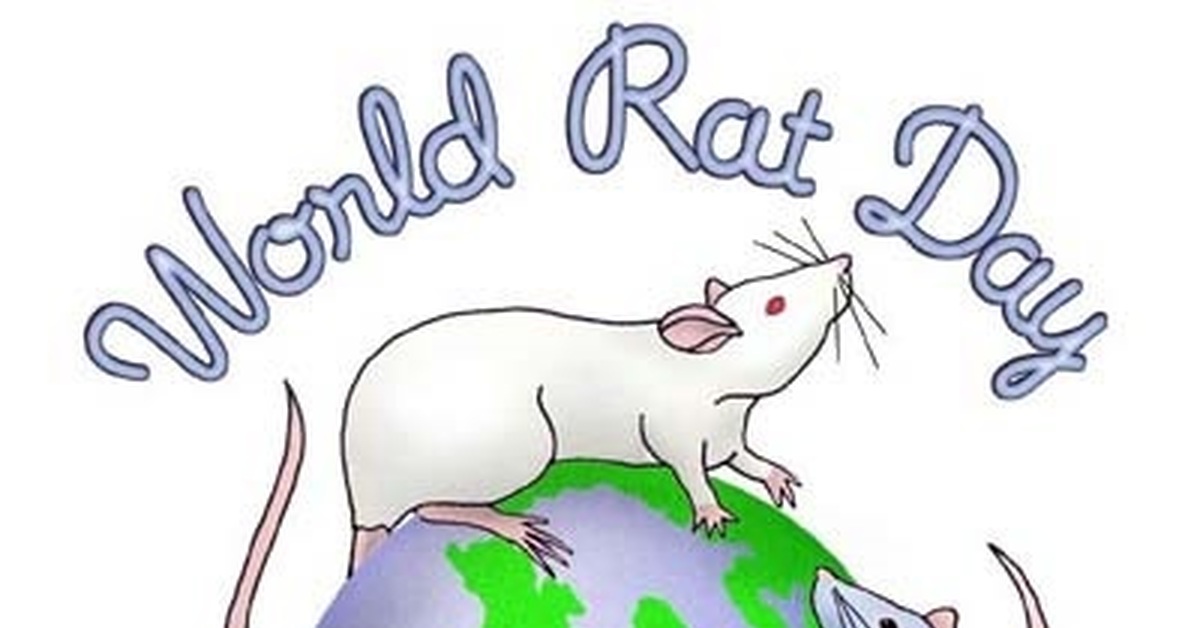 День крысы 4 апреля картинки. День крысы. Международный день крысы. Открытка с днем крысы. Крыса праздник.