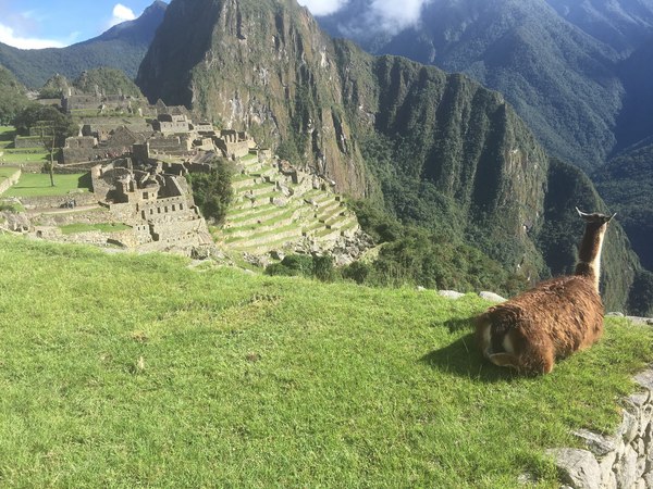 Когда познаёшь природу