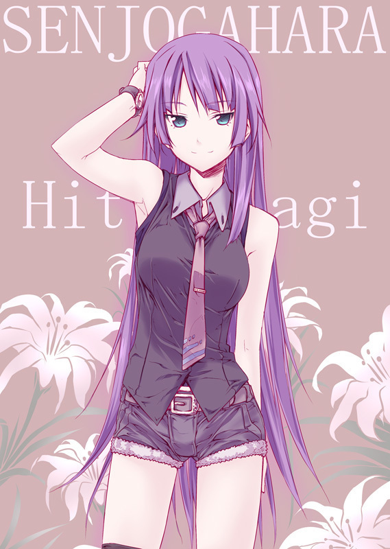 Hitagi Senjougahara Hitagi Senjougahara, Monogatari series, Bakemonogatari, Anime Art, 