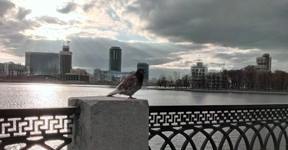 Полицейский с рублевки стенка на стенку