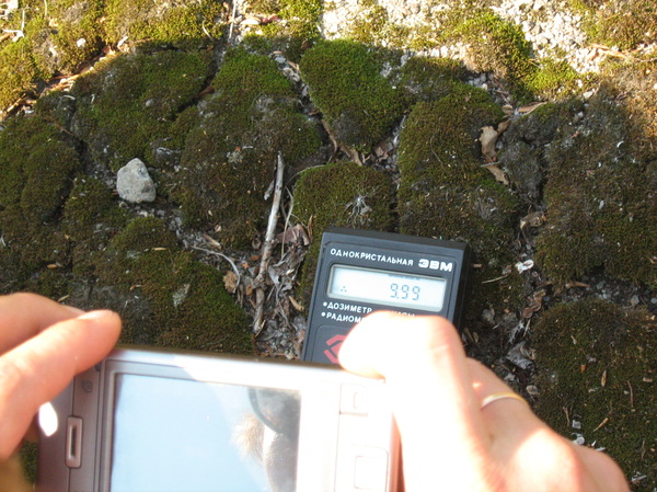 Разница менталитетов Припять, Дозиметр, Менталитет, Радиация, Кот, Чернобыль, Длиннопост