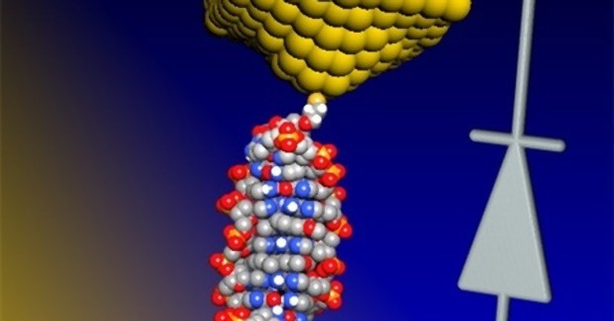 Из ДНК сделали самый маленький в мире диод | Пикабу