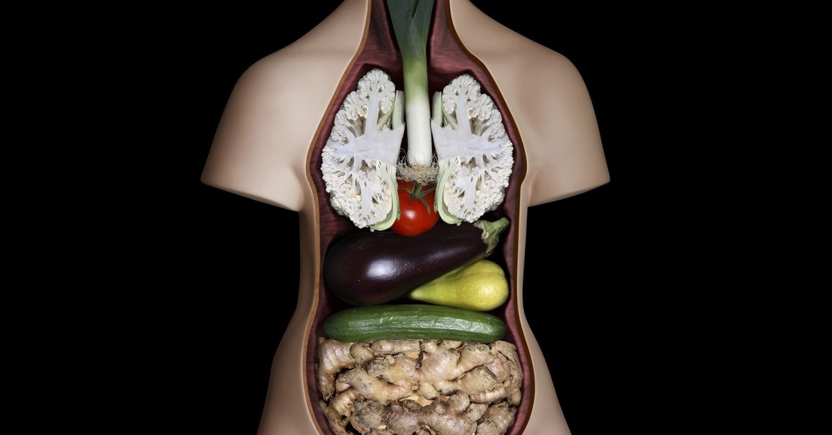 Питание организма человека. Овощи и органы. Еда для организма человека. Здоровые внутренние органы. Овощи и внутренние органы.