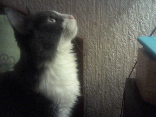 �������)