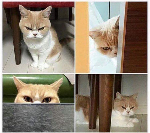 Это я жду когда приготовится ужин