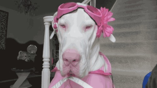      ,  , , , , , , 