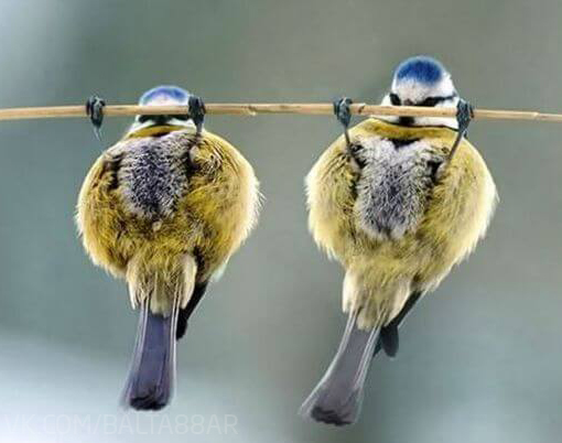 ���� ������ ��������� � ���� ����� ����.