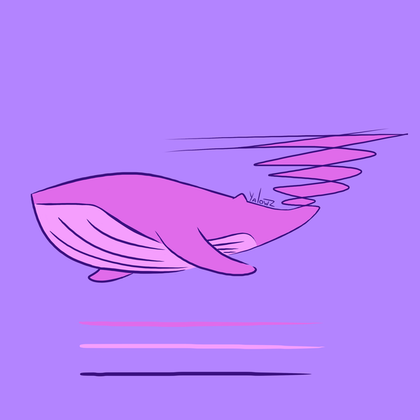 Whale , 